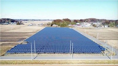 Solar Farm And Agriculture