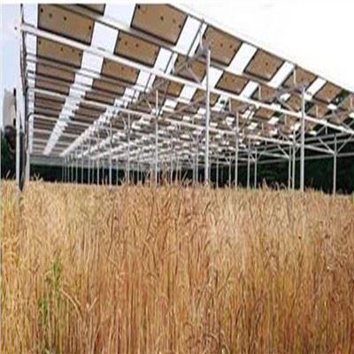 Solar Mounting System For Agriculture