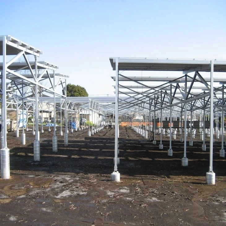 Agri PV Ground Mounting Racks manufacturers