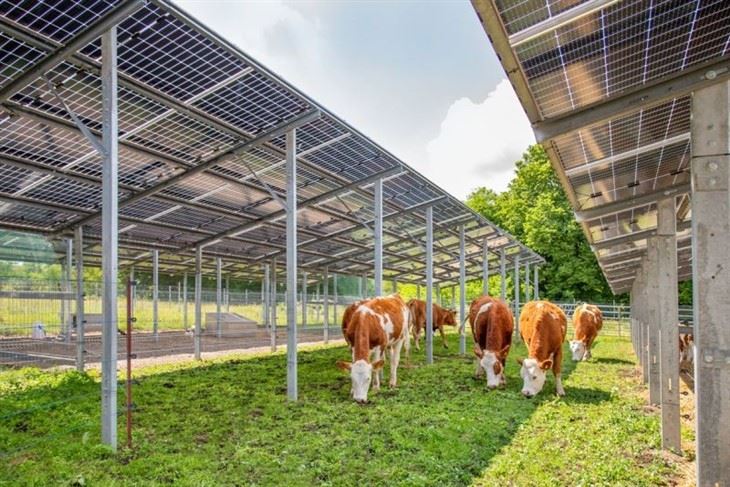 Agri PV Mounting Structure For Farmland manufacturers