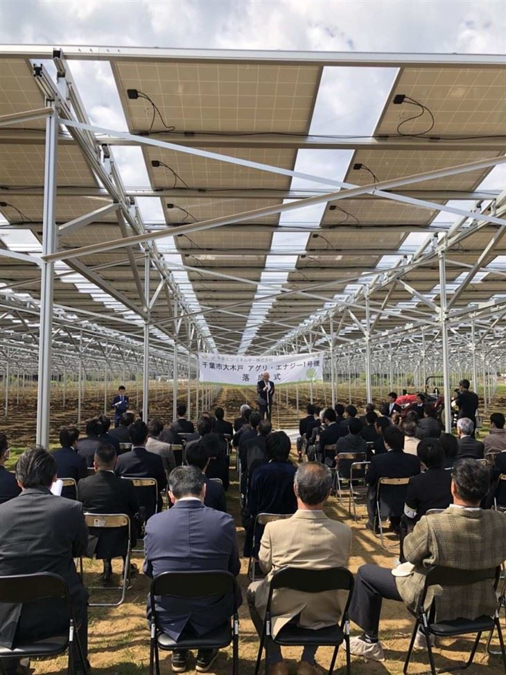 Agri PV Mounting Structure For Farmland factory