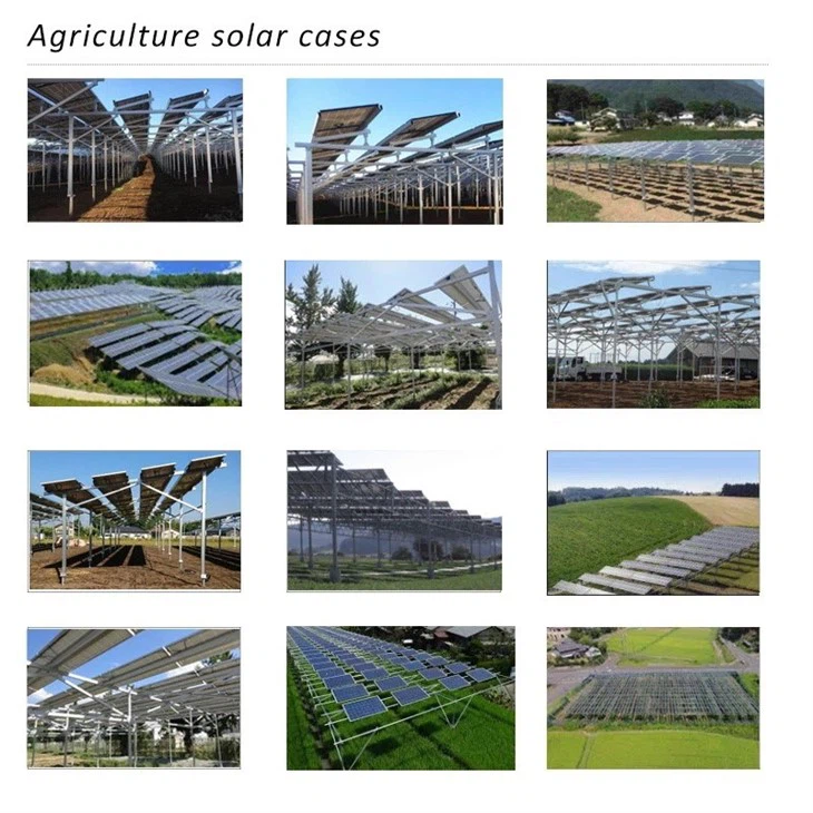 Agri-Solar Mounting System manufacturers
