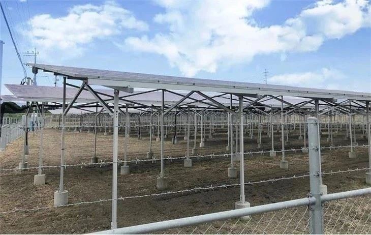 Agricultural Solar Panel Racking best