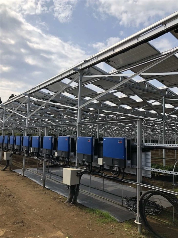 Greenhouse Solar Mounting System manufacturers