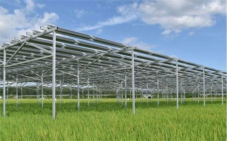 Greenhouse Solar Mounting System factory