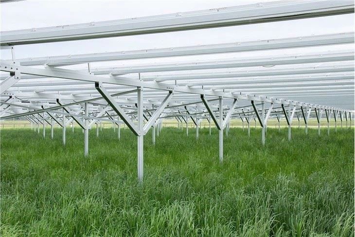 Greenhouse Solar Mounting System high quality