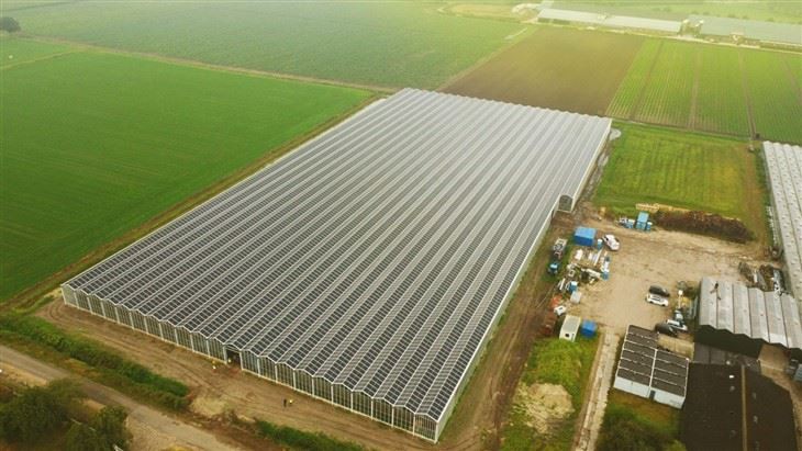 Leading Agri-PV Mounting Technology Providers | Global Options price