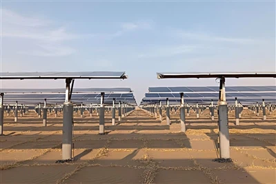 How Solar Farms Shape Local Climate And Vegetation in Arid Regions