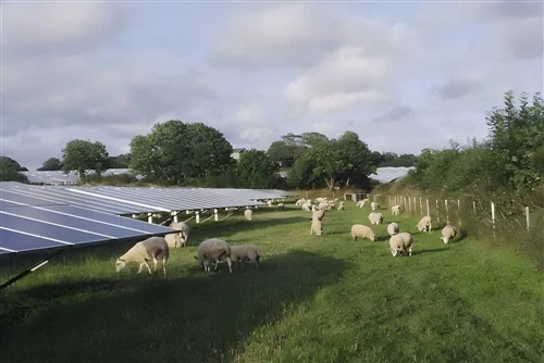 UK Scraps Mandatory Consultations For Large-scale Solar Planning