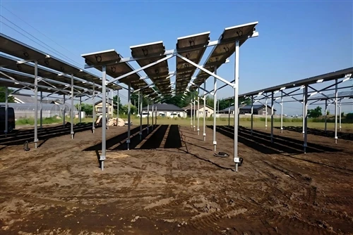 Empowering Dual-Use Land Innovation Grengy’s Advanced Agricultural Photovolta...
