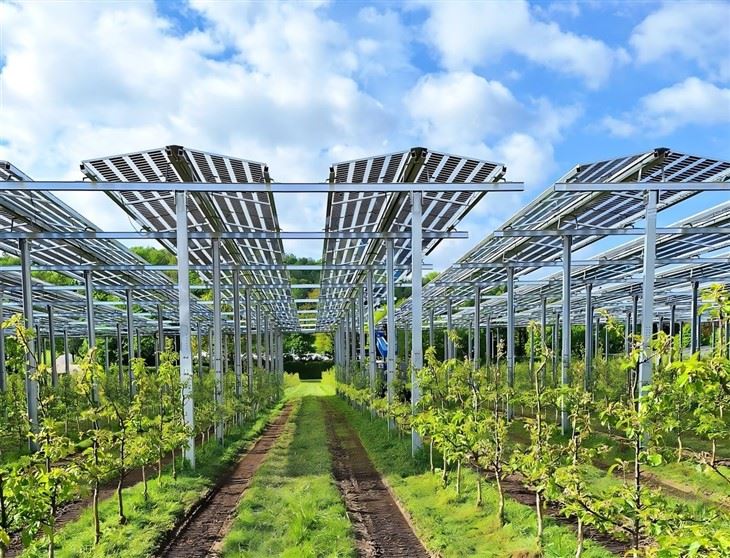 Greenhouse Solar Mounting System suppliers