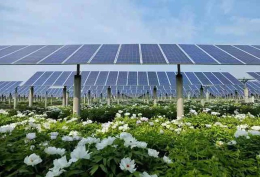 Concrete Piles Solar mounting Concrete Piles Solar mounting