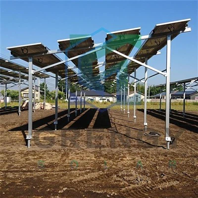 Agri-Solar Mounting: For Crops And Livestocks