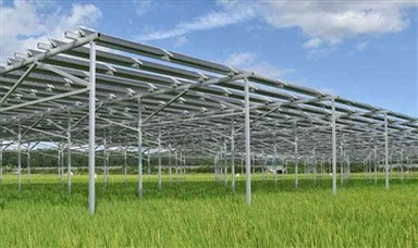 Ground-Mounted Solar Farms 2-4 Meters High