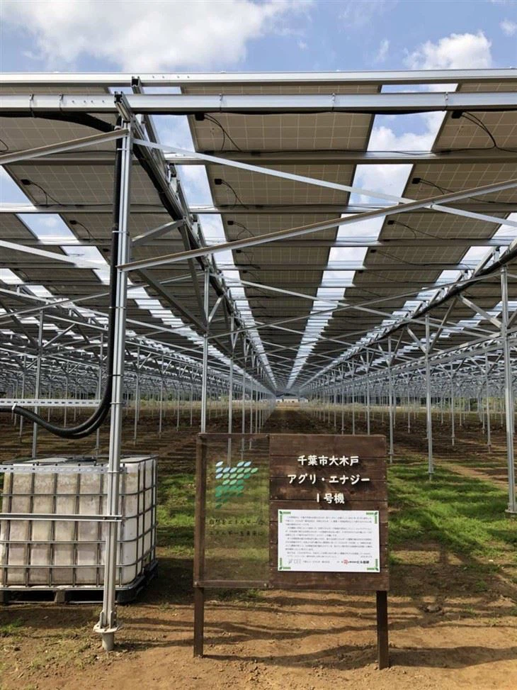 Solar Agrivoltaics Mounting System