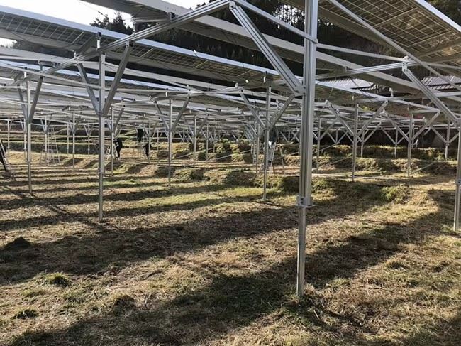 Solar Farm Agricultural Mounting high quality